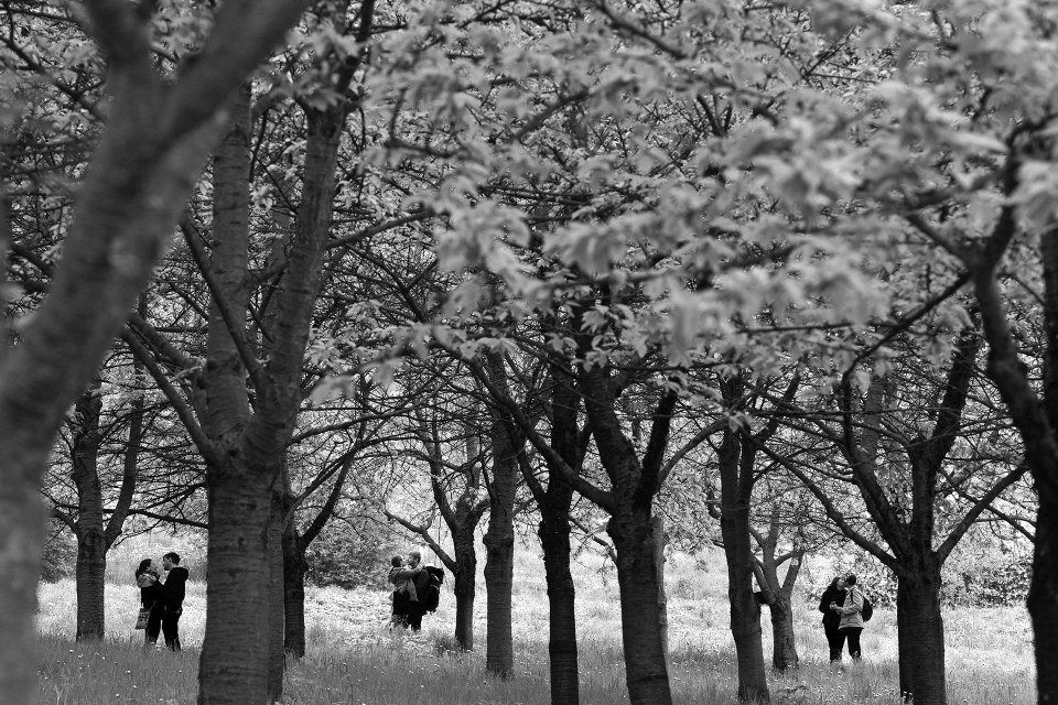 LIFE IN PRAGUE 