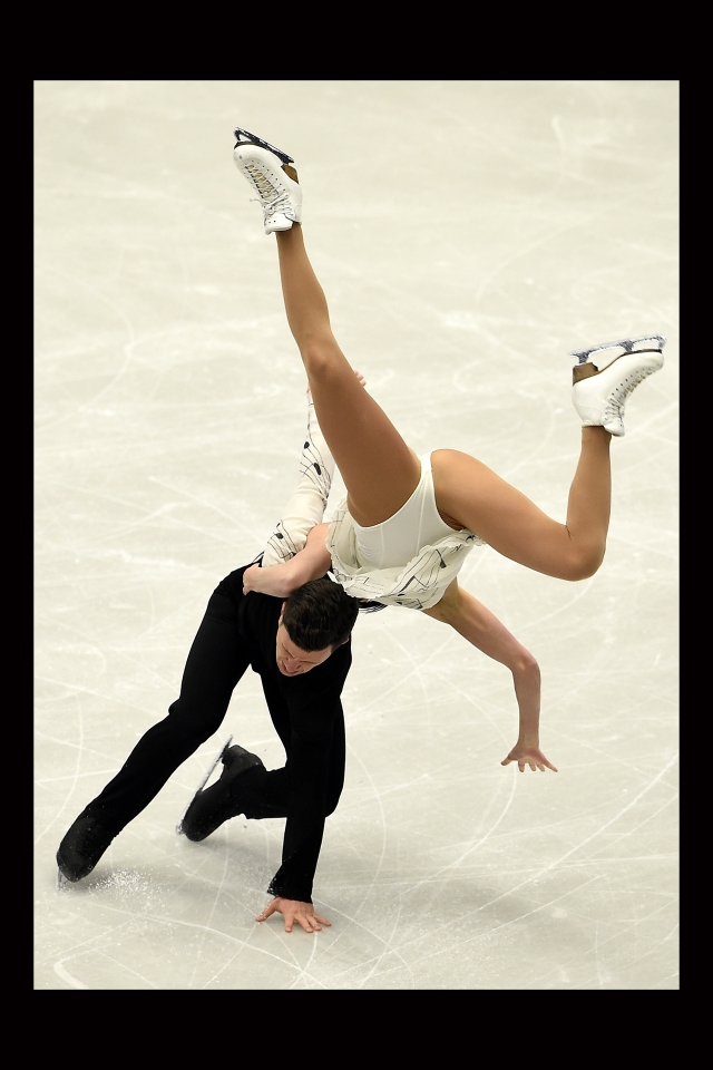 SPORT SINGLES PORTFOLIO
